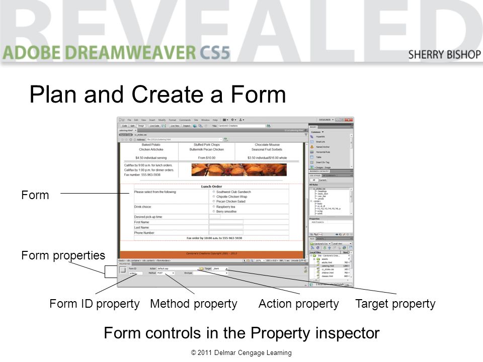 © 2011 Delmar Cengage Learning Plan and Create a Form Form controls in the Property inspector Form Form ID propertyMethod propertyAction propertyTarget property Form properties