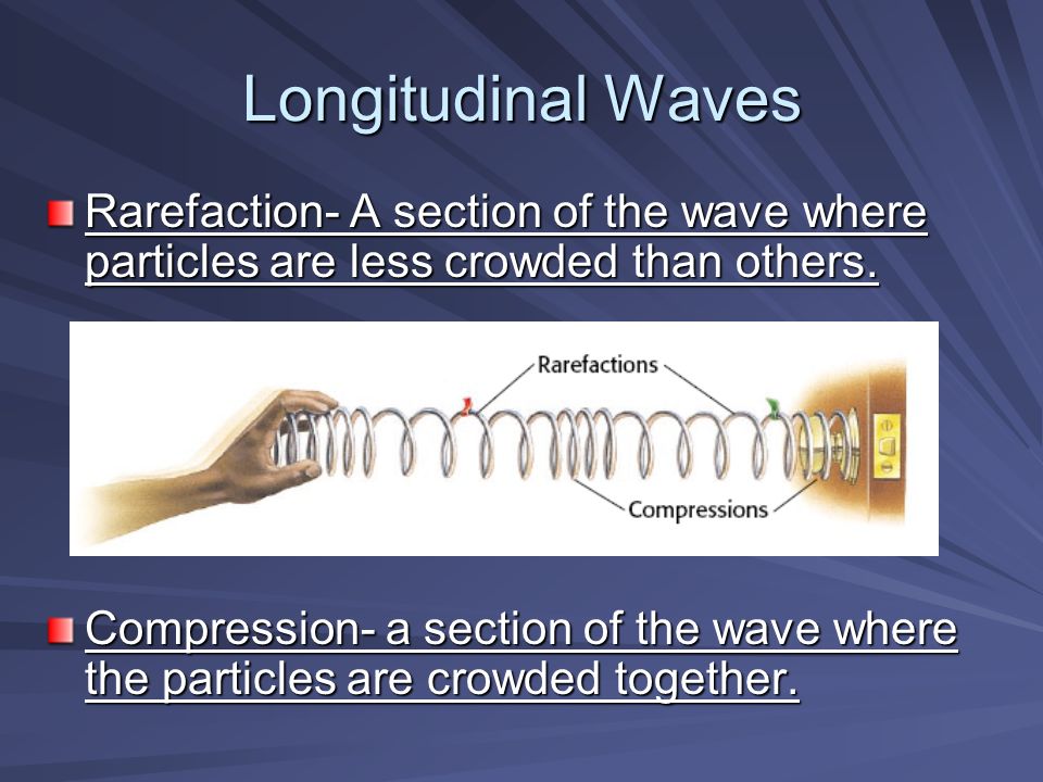 Longitudinal Waves Rarefaction- A section of the wave where particles are less crowded than others.