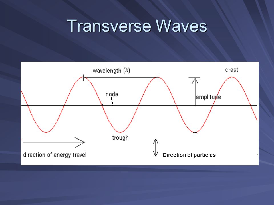 Transverse Waves Direction of particles