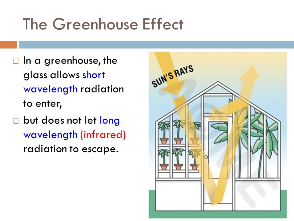 The Greehouse Effect