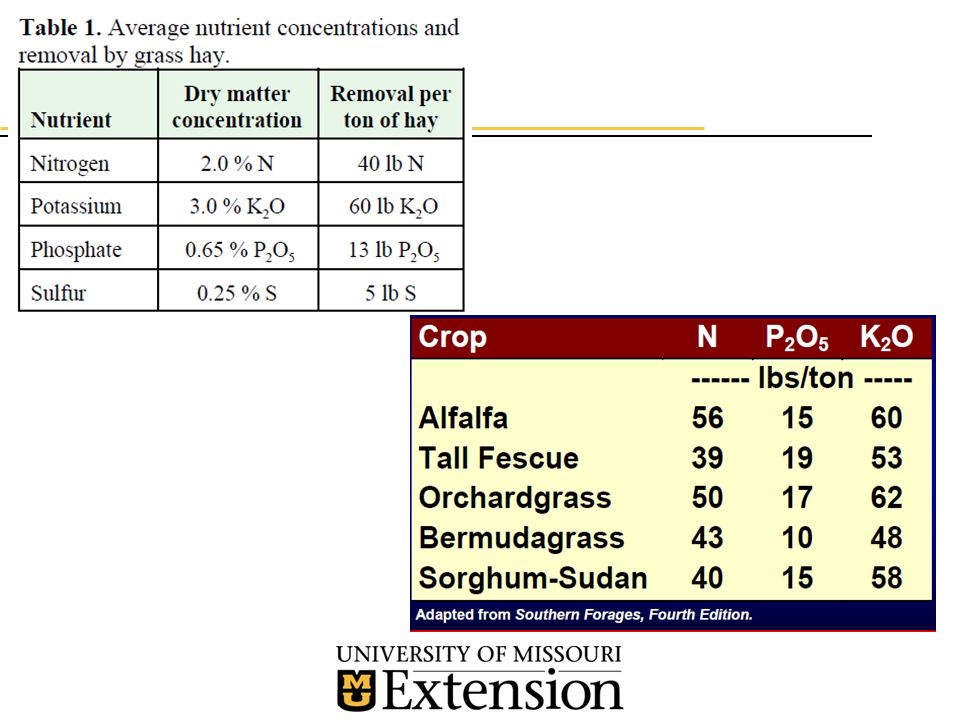 how much hay per acre