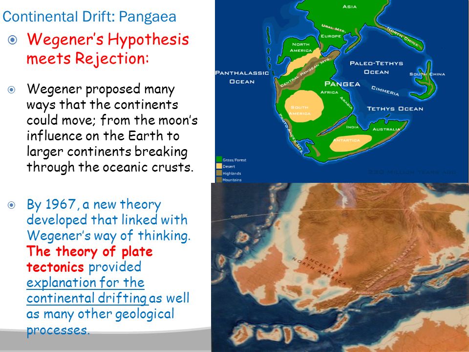 The Rejection of Continental Drift Theory and Method in American Earth Science