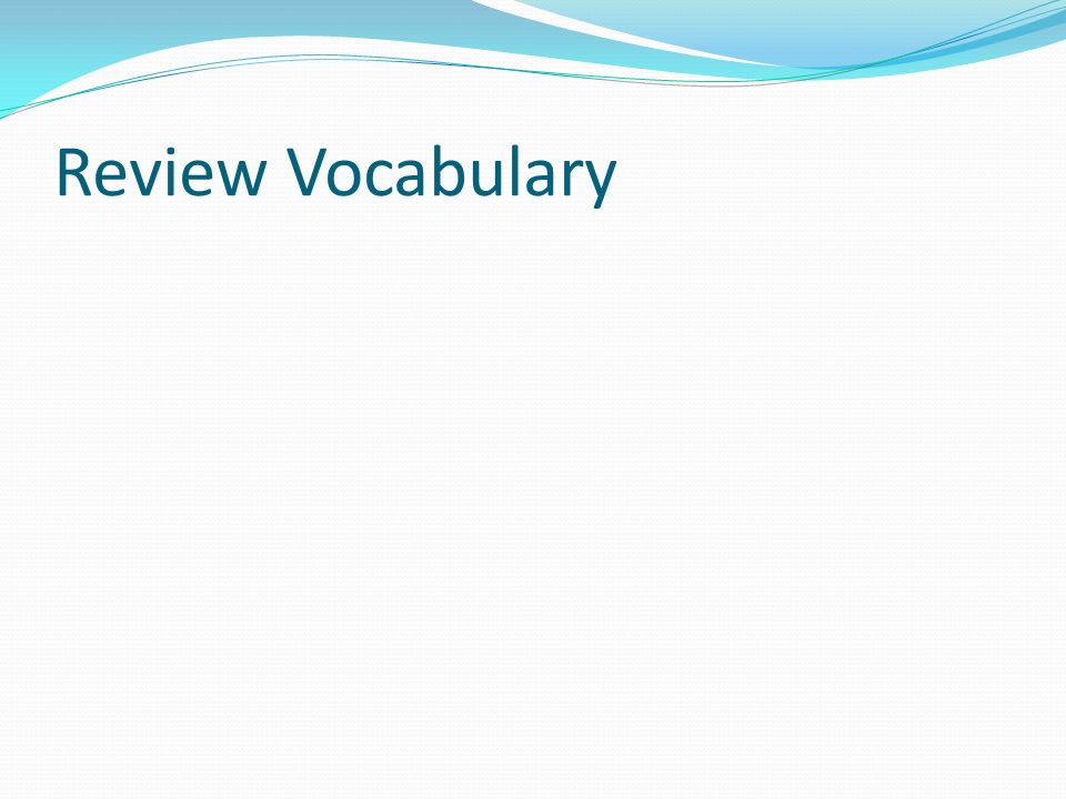 Review Vocabulary