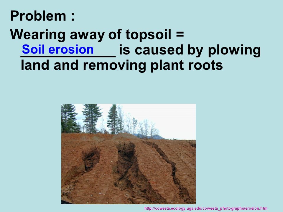 Problem : Wearing away of topsoil = ____________ is caused by plowing land and removing plant roots Soil erosion