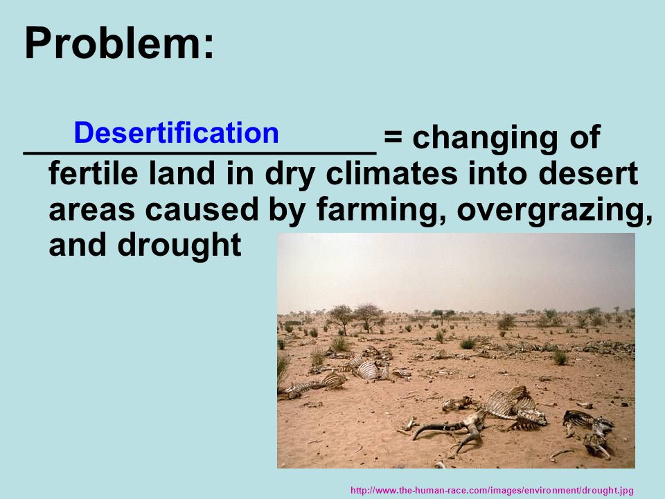 Problem: ___________________ = changing of fertile land in dry climates into desert areas caused by farming, overgrazing, and drought Desertification