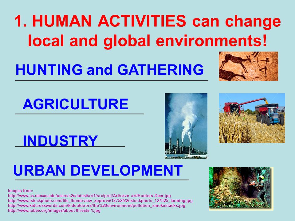 1. HUMAN ACTIVITIES can change local and global environments.