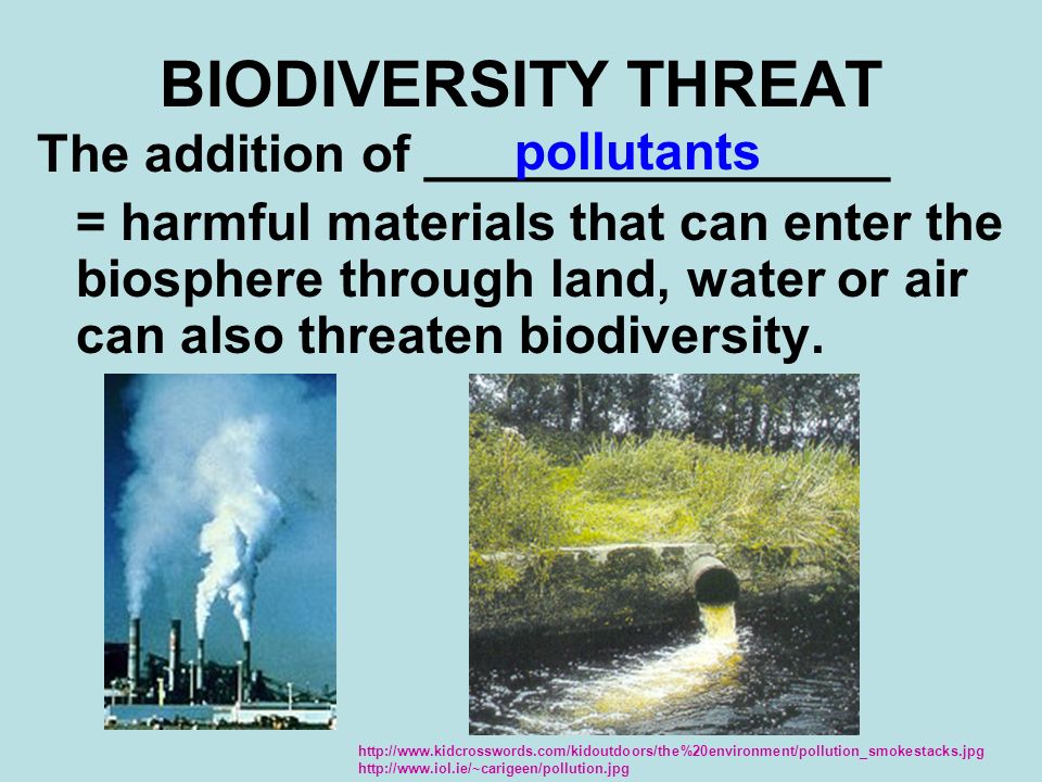 BIODIVERSITY THREAT The addition of ________________ = harmful materials that can enter the biosphere through land, water or air can also threaten biodiversity.
