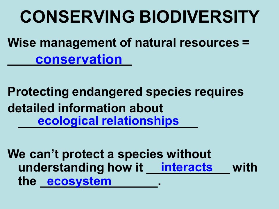 CONSERVING BIODIVERSITY Wise management of natural resources = __________________ Protecting endangered species requires detailed information about __________________________ We can’t protect a species without understanding how it ____________ with the _________________.