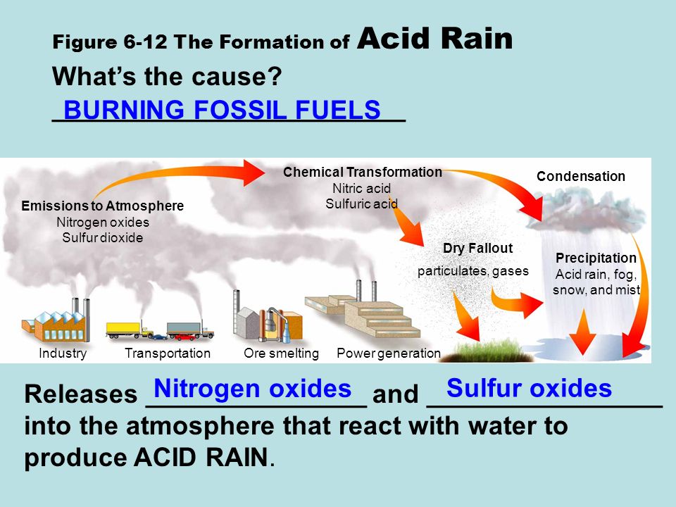 Emissions to Atmosphere Nitrogen oxides Sulfur dioxide Chemical Transformation Nitric acid Sulfuric acid Precipitation Acid rain, fog, snow, and mist Dry Fallout Condensation particulates, gases IndustryTransportationOre smeltingPower generation Figure 6-12 The Formation of Acid Rain What’s the cause.