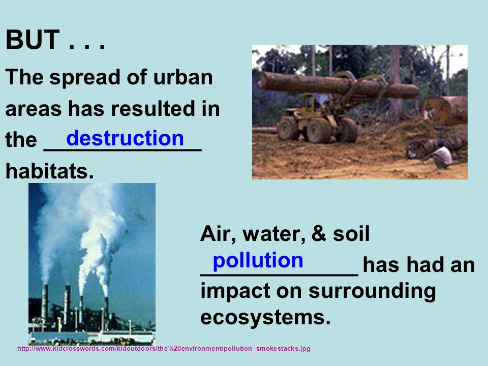 BUT... The spread of urban areas has resulted in the _____________ habitats.