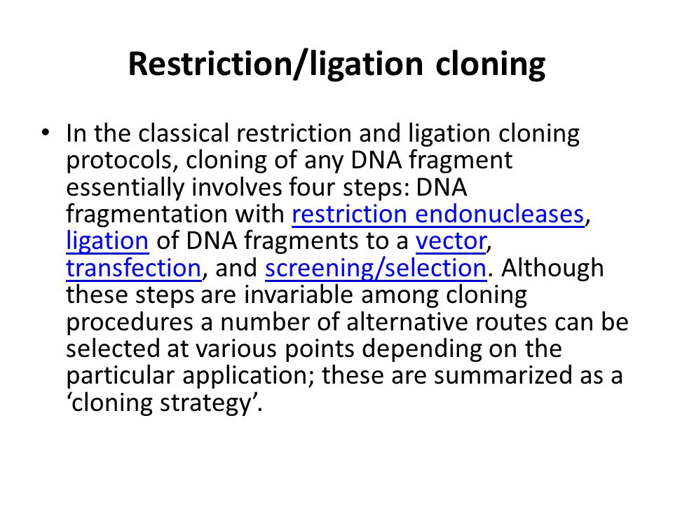 an analysis of the biological concept of cloning of the genetically identical cells an analysis of the biological concept of cloning of the genetically identical cells