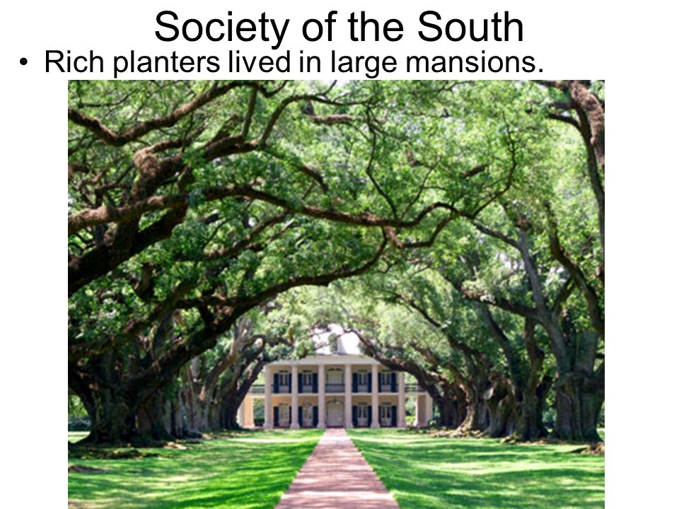 Society of the South Rich planters lived in large mansions.
