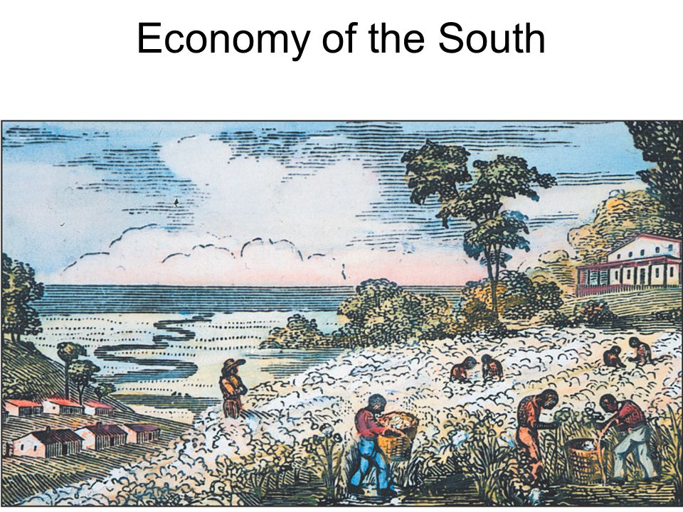 Economy of the South