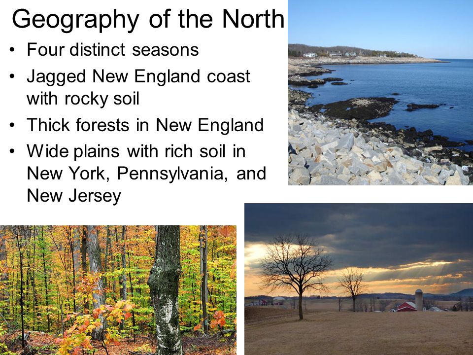 Geography of the North Four distinct seasons Jagged New England coast with rocky soil Thick forests in New England Wide plains with rich soil in New York, Pennsylvania, and New Jersey