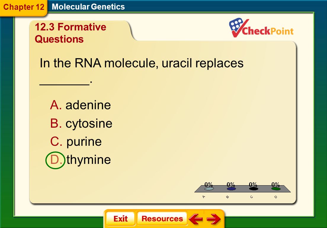 1.A 2.B 3.C 4.D FQ 6 Molecular Genetics Chapter 12 Which shows the basic chain of events in all organisms for reading and expressing genes.
