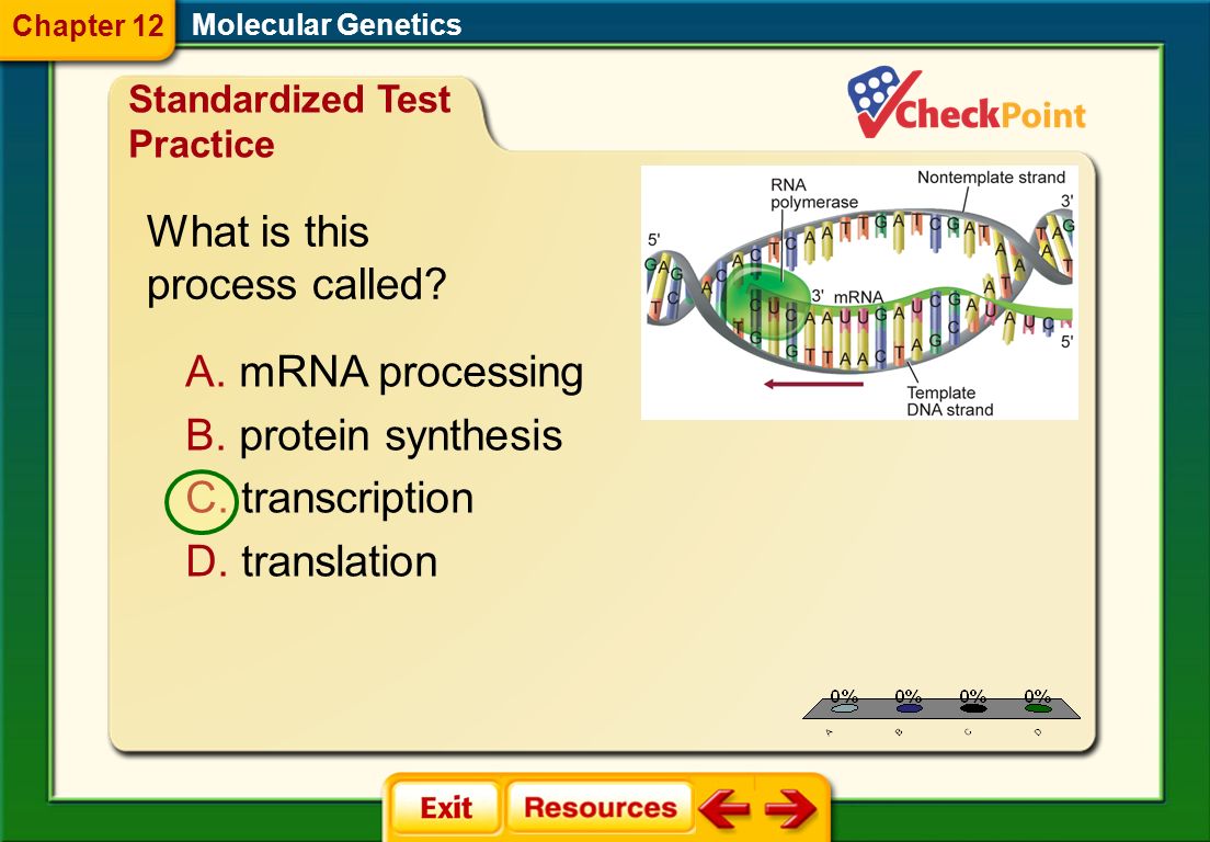 1.A 2.B 3.C 4.D FQ 8 Molecular Genetics Chapter Formative Questions Which diagram shows messenger RNA (mRNA).
