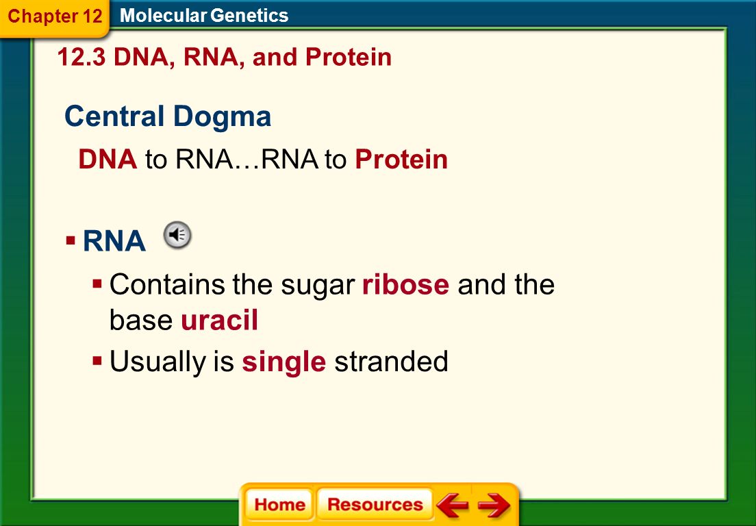 DNA, RNA, & Protein Synthesis (12.3) State Standards 2A.