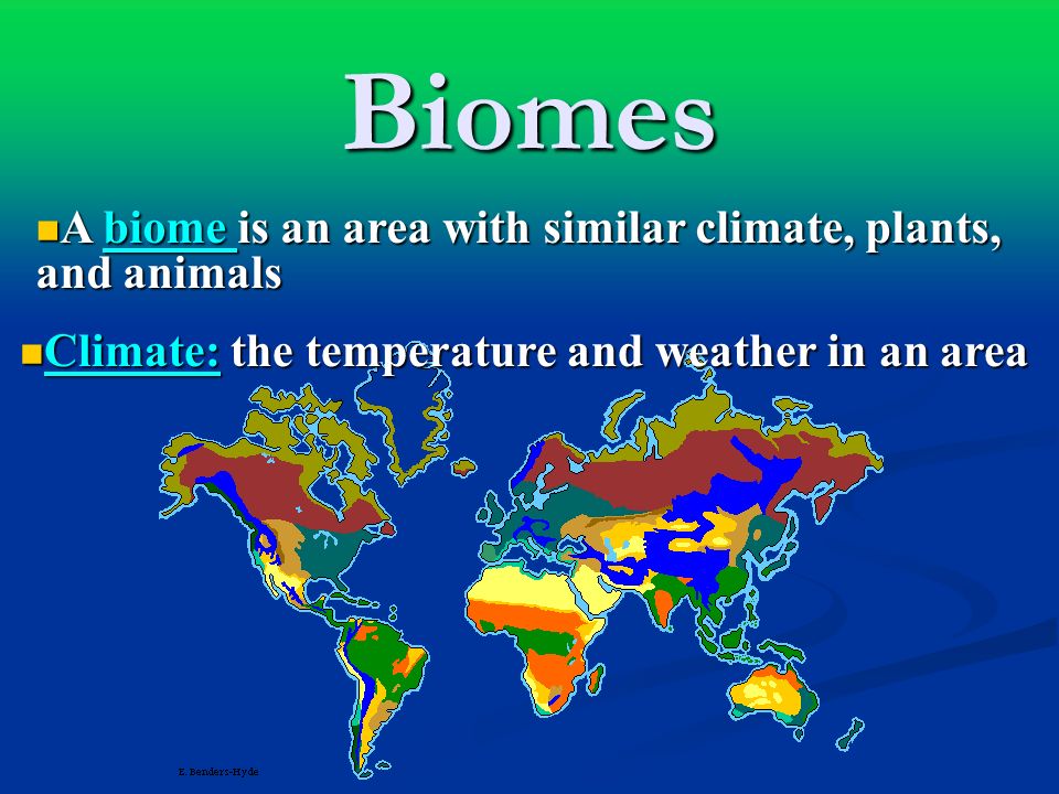 Biomes A biome is an area with similar climate, plants, and animals A biome is an area with similar climate, plants, and animals Climate: the temperature and weather in an area Climate: the temperature and weather in an area