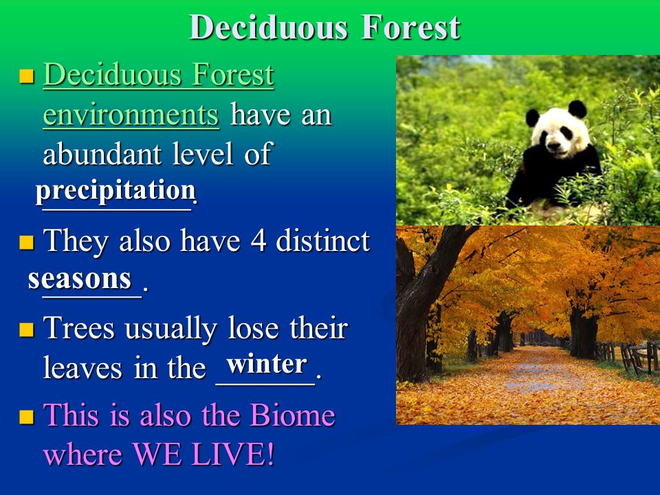 Deciduous Forest Deciduous Forest environments have an abundant level of _________.
