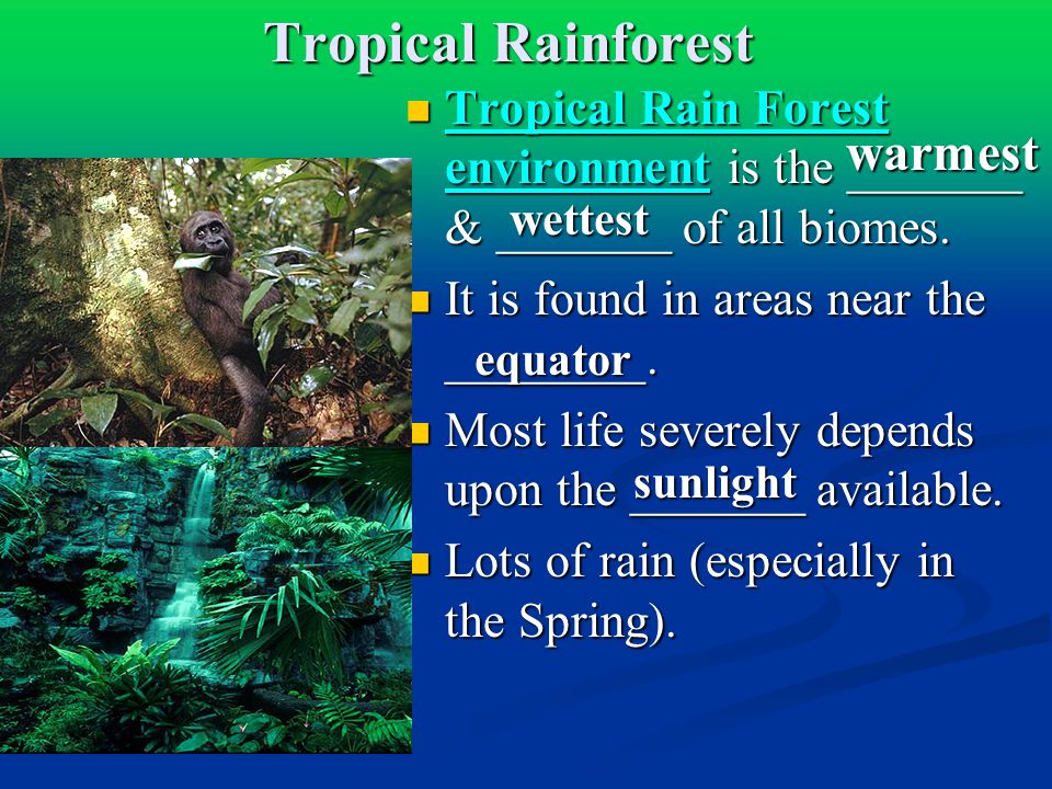 Tropical Rain Forest environment is the _______ & _______ of all biomes.