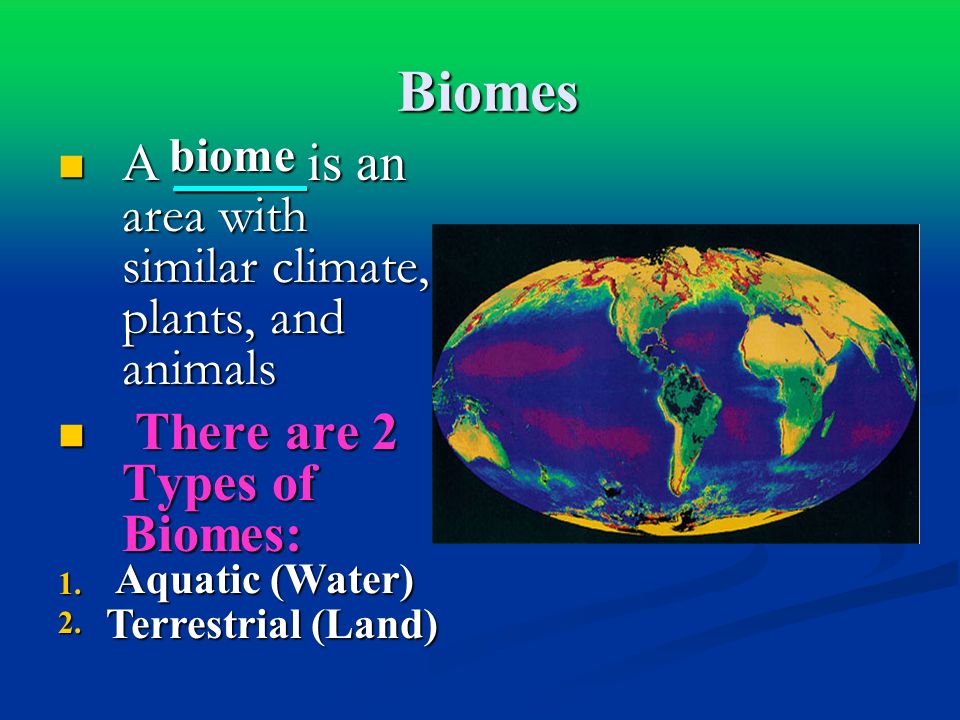 Biomes Biomes A ___ is an area with similar climate, plants, and animals A ___ is an area with similar climate, plants, and animals There are 2 Types of Biomes: There are 2 Types of Biomes:1.2.