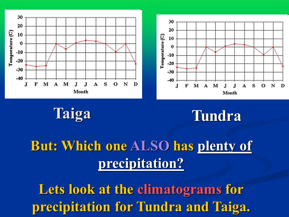 Taiga Tundra But: Which one ALSO has plenty of precipitation.