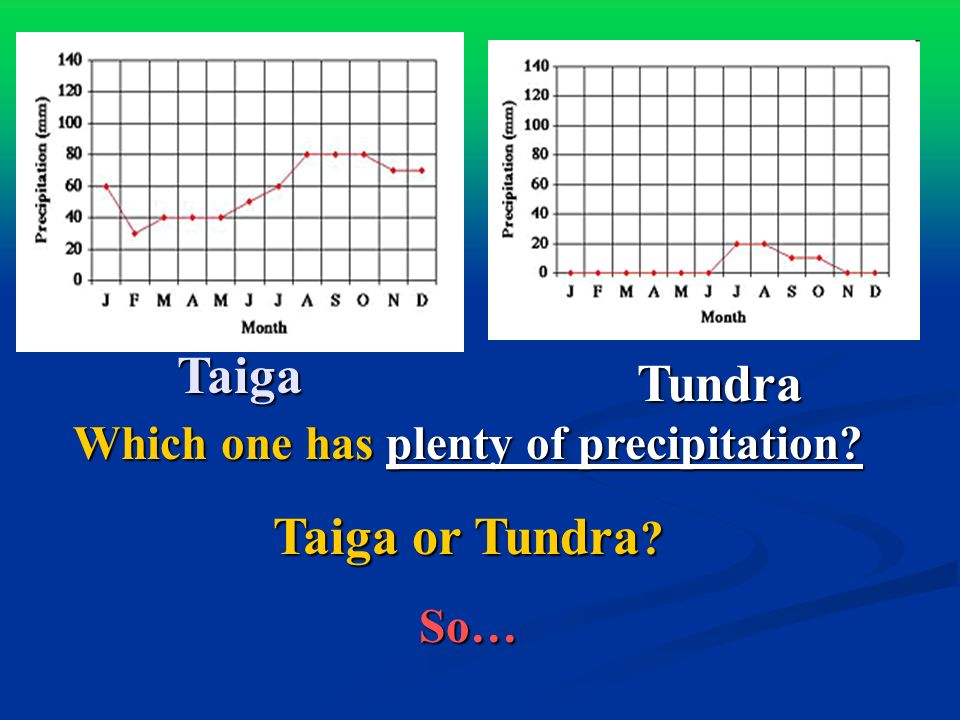 Taiga Tundra Which one has plenty of precipitation Taiga or Tundra So…