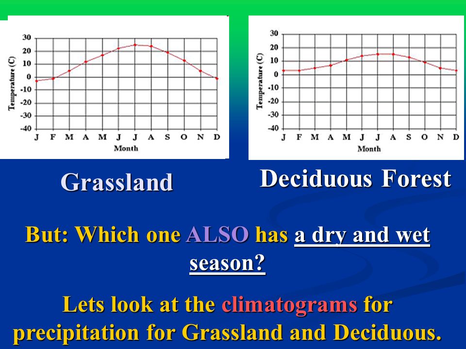 Grassland Deciduous Forest But: Which one ALSO has a dry and wet season.