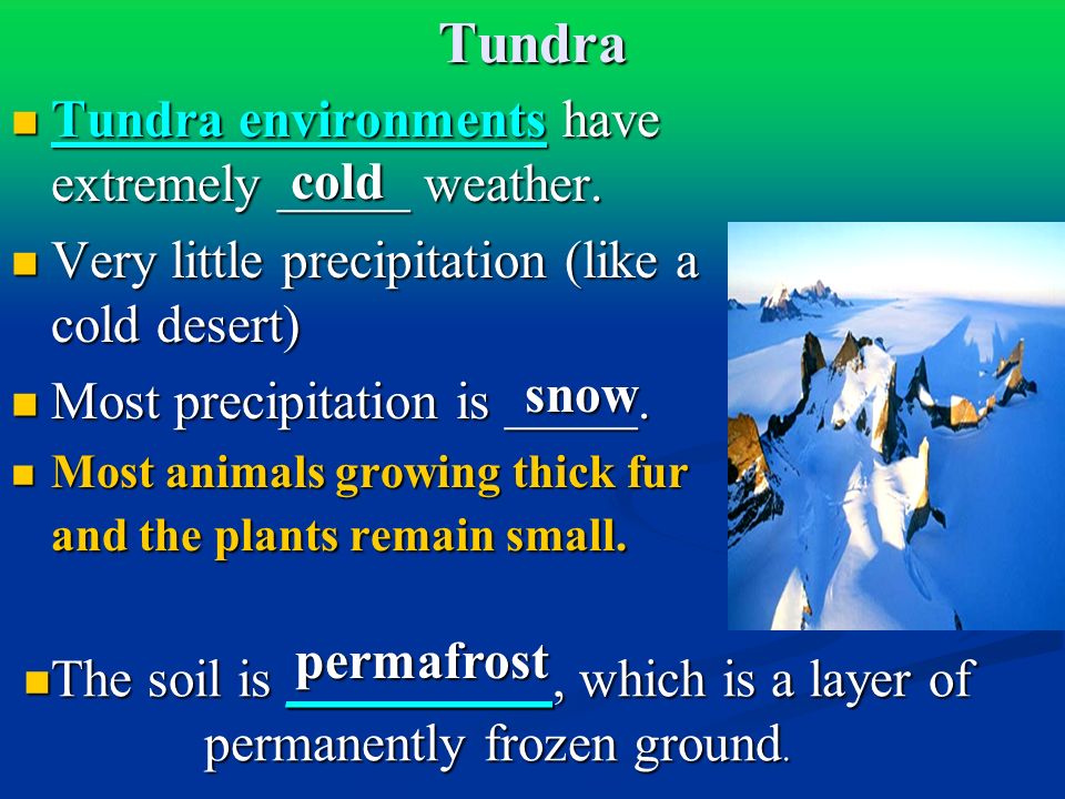 Tundra Tundra environments have extremely _____ weather.