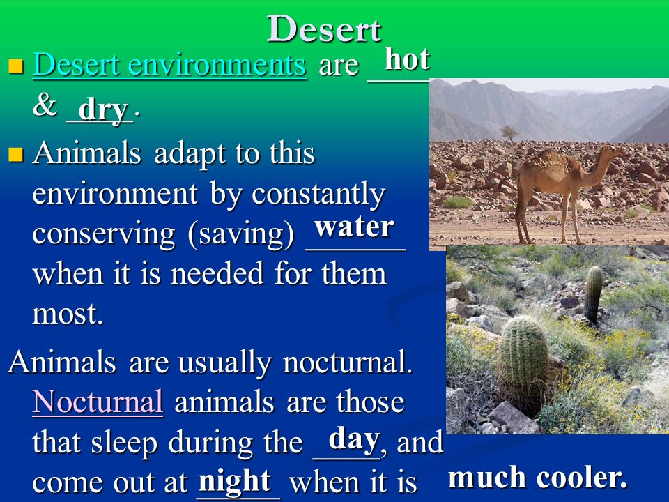 Desert Desert environments are ____ & ____. Desert environments are ____ & ____.