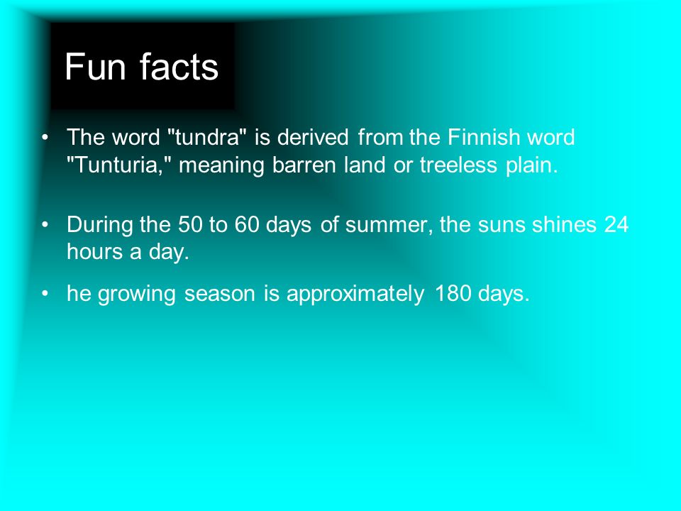 facts about the tundra