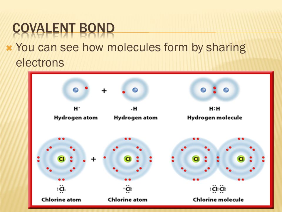  You can see how molecules form by sharing electrons
