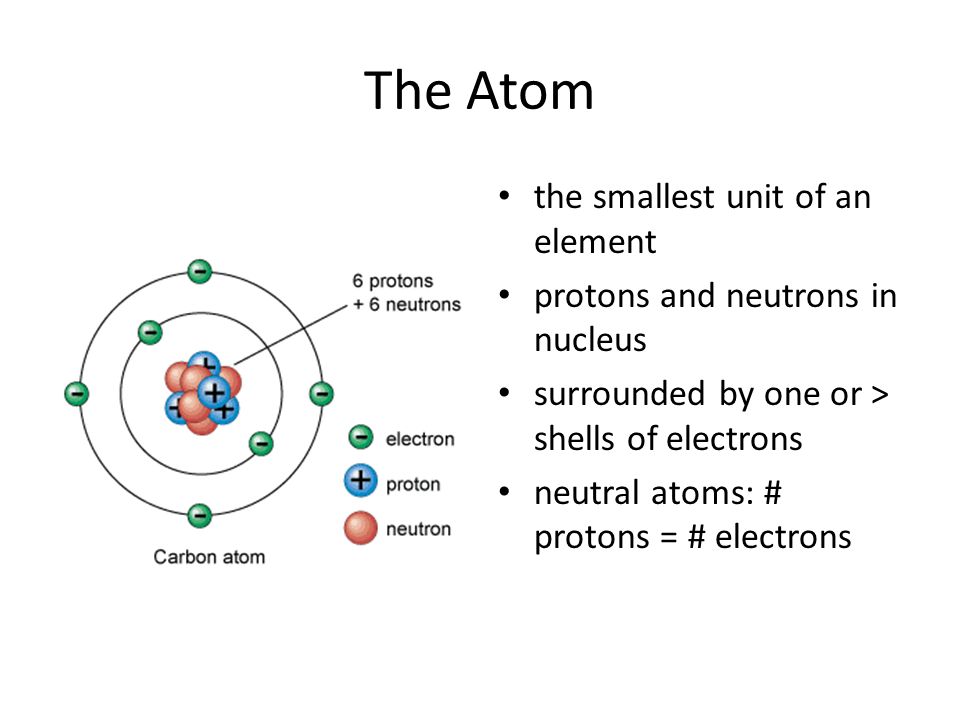 The Atom the smallest unit of an element protons and neutrons in nucleus surrounded by one or > shells of electrons neutral atoms: # protons = # electrons