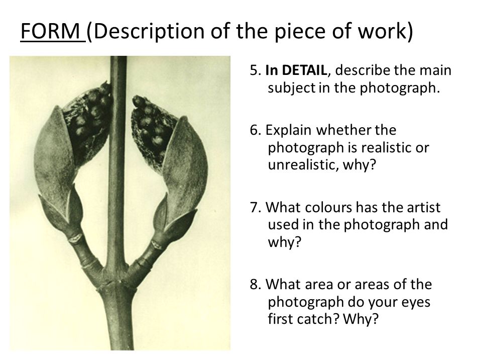 FORM (Description of the piece of work) 5. In DETAIL, describe the main subject in the photograph.