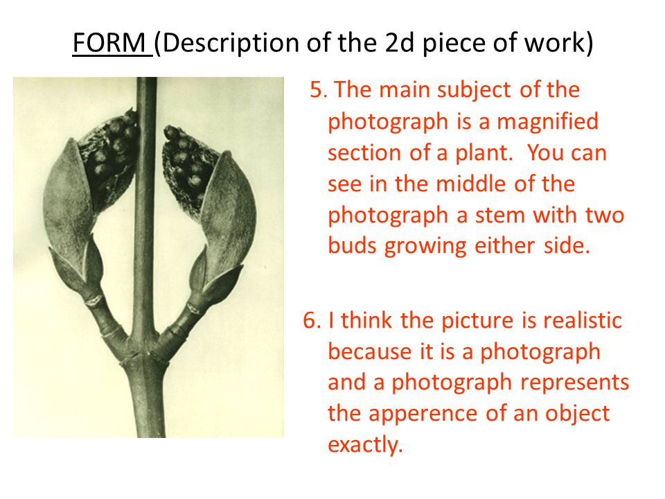 FORM (Description of the 2d piece of work) 5.