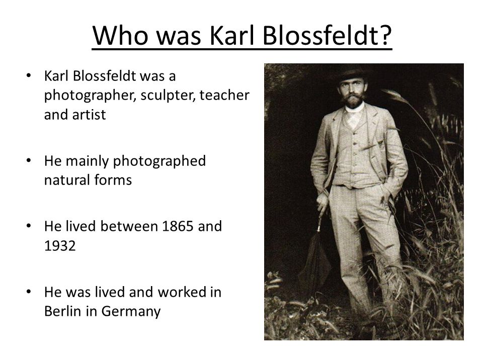 Who was Karl Blossfeldt.