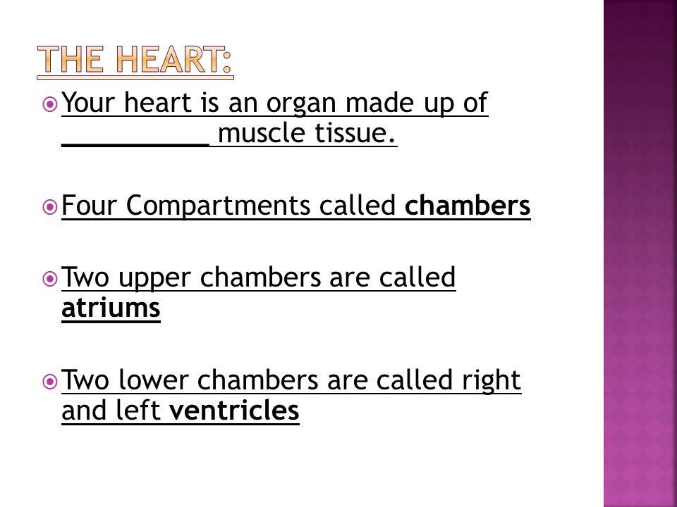  Your heart is an organ made up of __________ muscle tissue.
