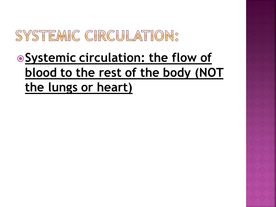  Systemic circulation: the flow of blood to the rest of the body (NOT the lungs or heart)