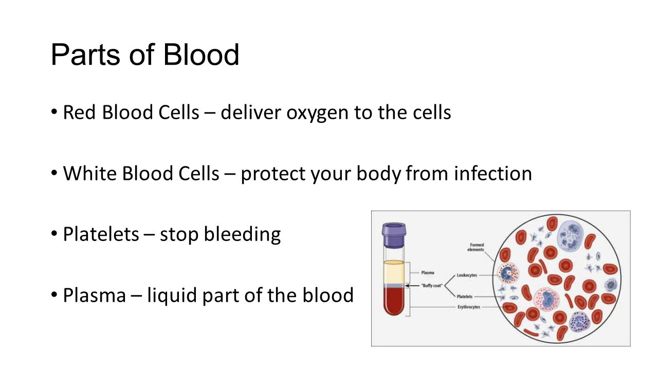 Parts of Blood Red Blood Cells – deliver oxygen to the cells White Blood Cells – protect your body from infection Platelets – stop bleeding Plasma – liquid part of the blood