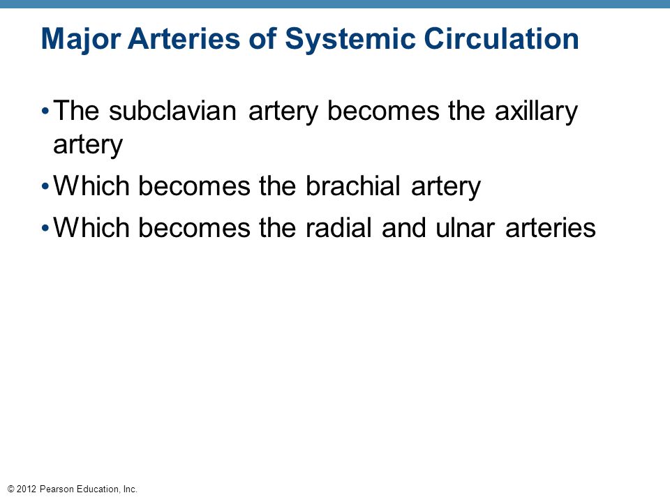 circulation the subclavian artery becomes the axillary artery