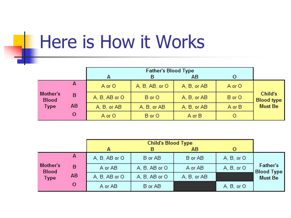 abo blood types chapter 14 did someone say blood ppt download how blood typing works