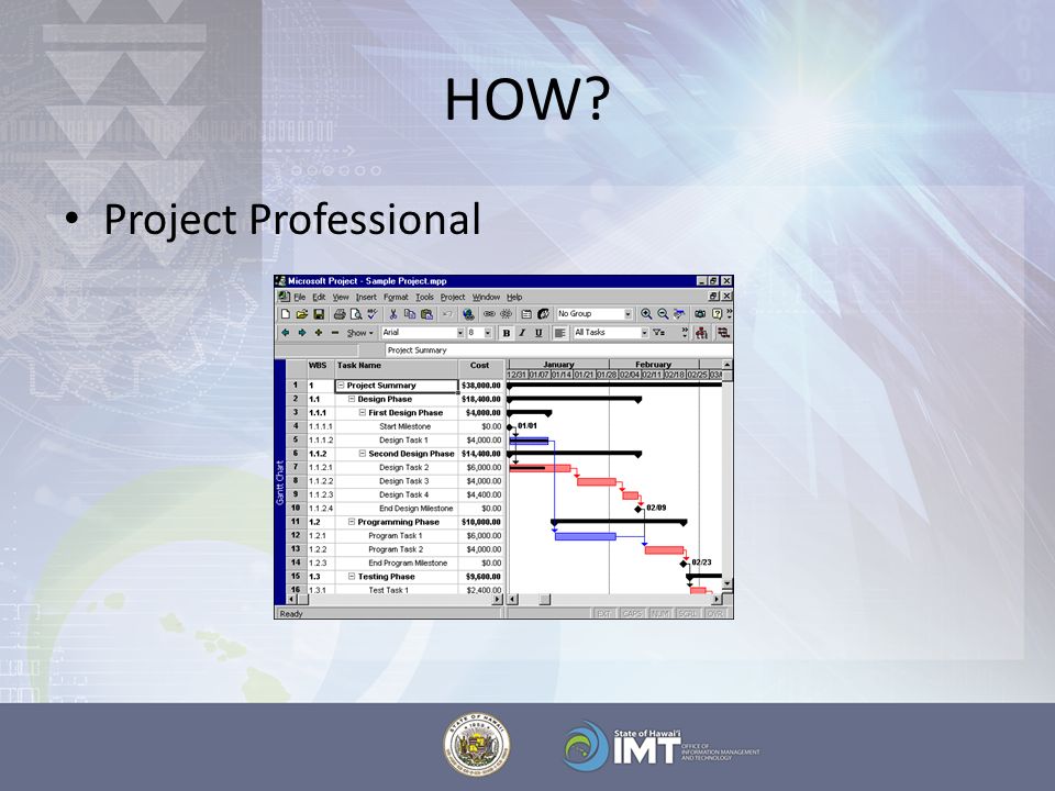 HOW Project Professional