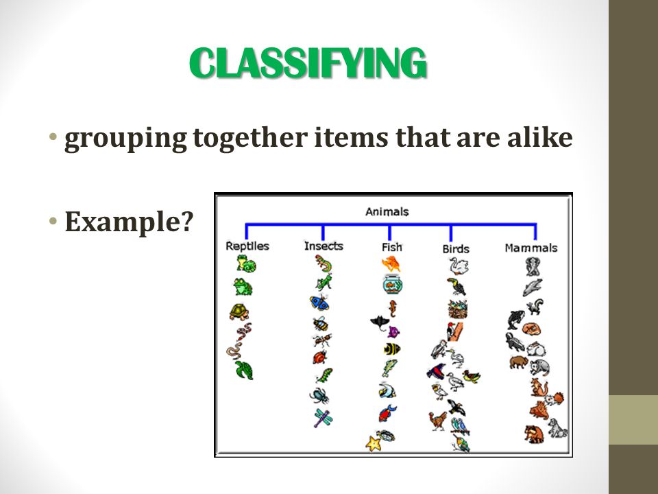 CLASSIFYING grouping together items that are alike Example