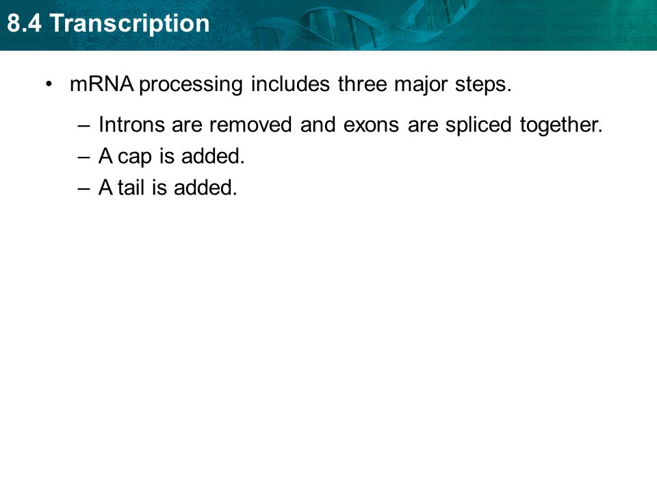 8.4 Transcription mRNA processing includes three major steps.