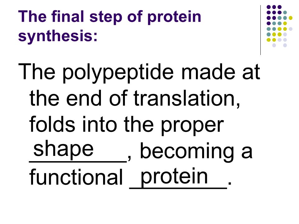 The final step of protein synthesis: The polypeptide made at the end of translation, folds into the proper ________, becoming a functional ________.