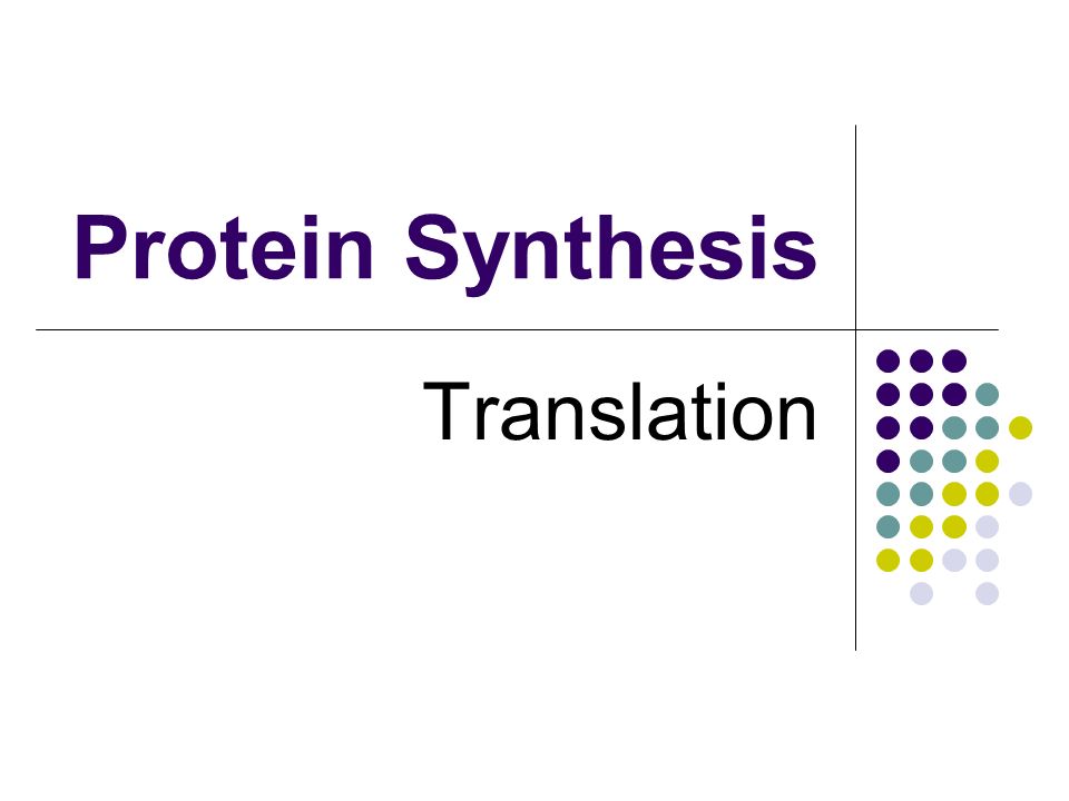 Protein Synthesis Translation