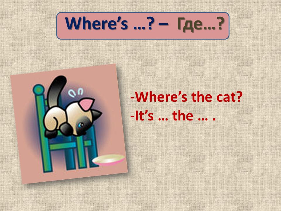 Where’s … – Где… -Where’s the cat -It’s … the ….