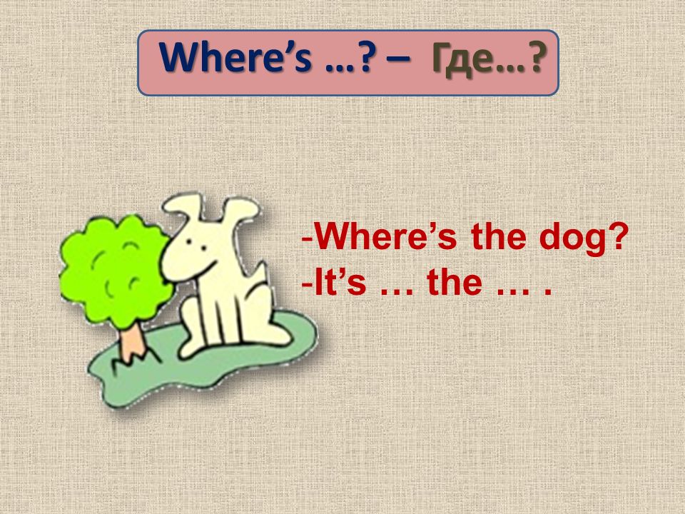 Where’s … – Где… -Where’s the dog -It’s … the ….