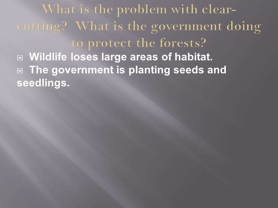  Wildlife loses large areas of habitat.  The government is planting seeds and seedlings.