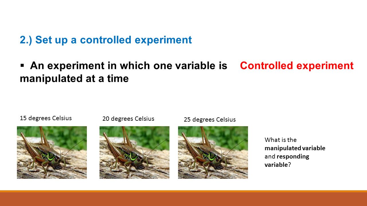 2.) Set up a controlled experiment  An experiment in which one variable isControlled experiment manipulated at a time 15 degrees Celsius 20 degrees Celsius 25 degrees Celsius What is the manipulated variable and responding variable